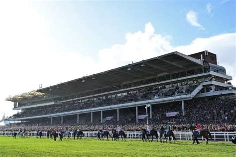 horses running at cheltenham|cheltenham race card today.